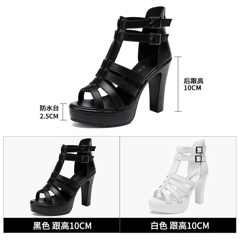 Gladiator Ladies Shoe for Wome - Casual Sandal Leather review and price